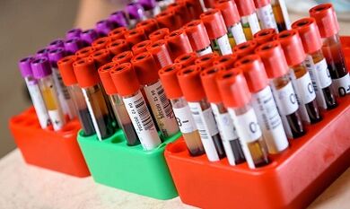 diets for weight loss according to blood type